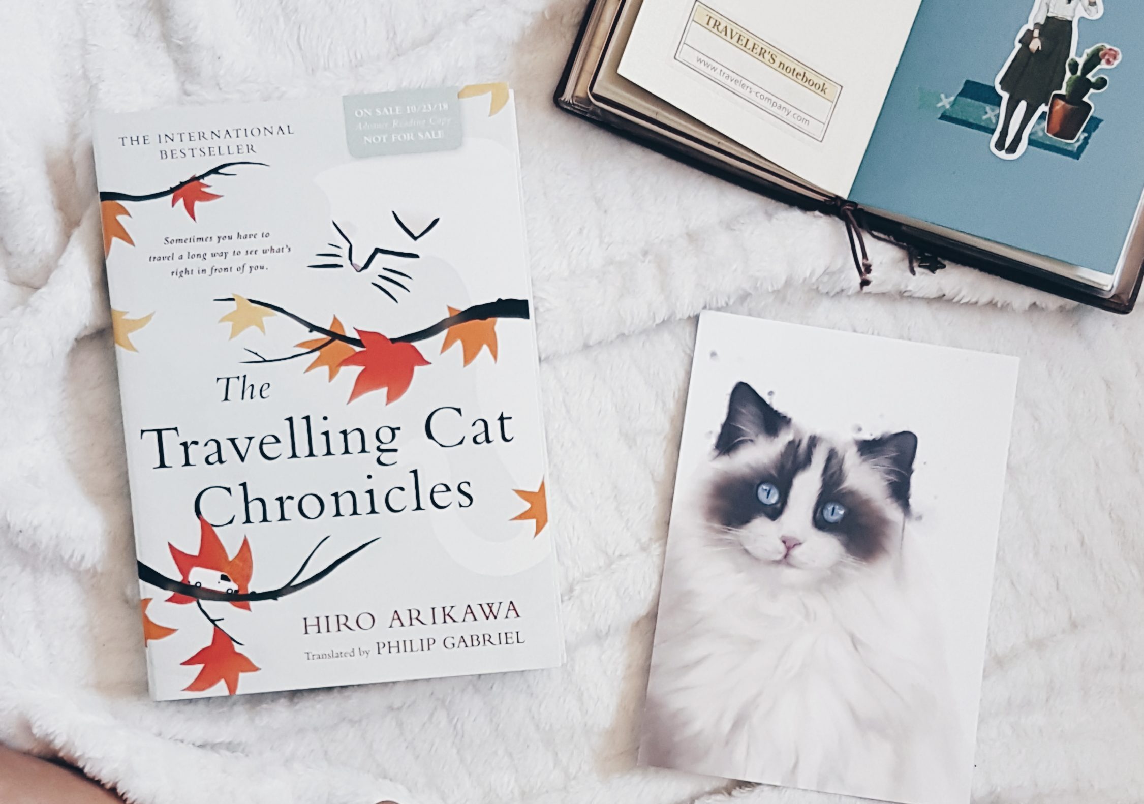 Book Review  The Travelling Cat Chronicles by Hiro Arikawa – The Last  Reader